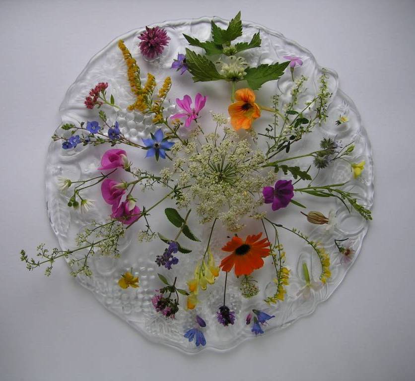Essblumen